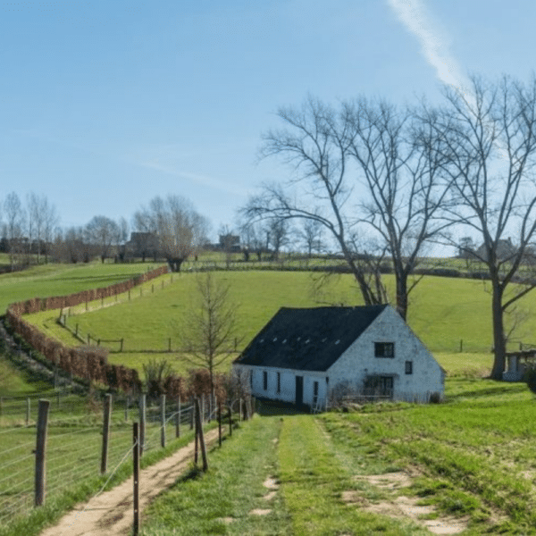 workshop aquarel vlaamse ardennen reisjournaal